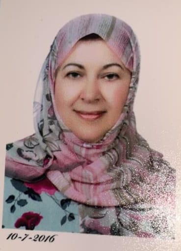 Menha Abdel Fattah Ibrahim